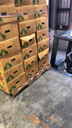 鮮榴槤 外包裝
