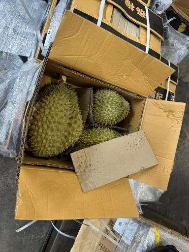 鮮榴槤 外包裝