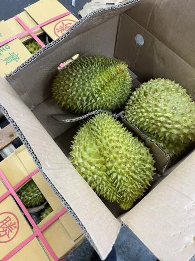 鮮榴槤 外包裝