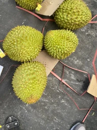 鮮榴槤 外包裝