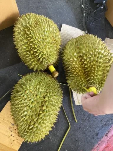鮮榴槤 外包裝
