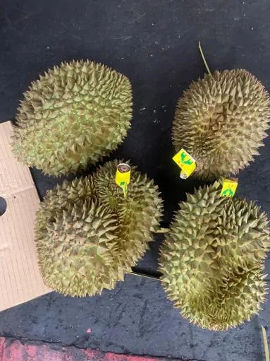 鮮榴槤 外包裝