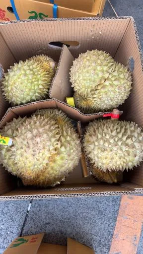 榴槤 外包裝