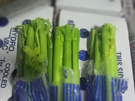 鮮芹菜 外包裝