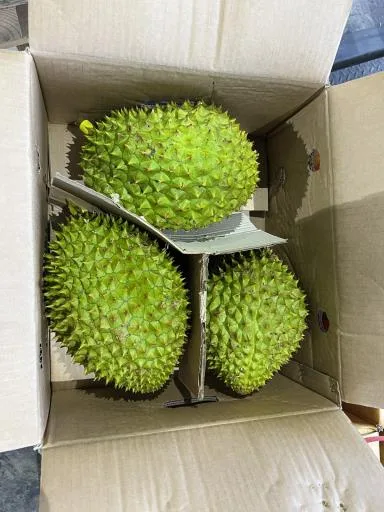 鮮榴槤 外包裝