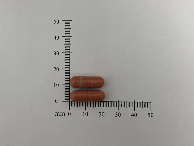 愛乳適 膠囊125毫克外觀