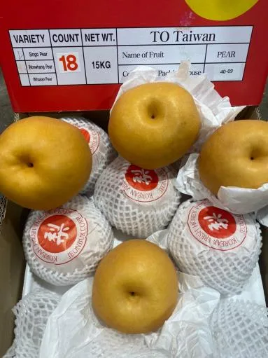 鮮梨 外包裝