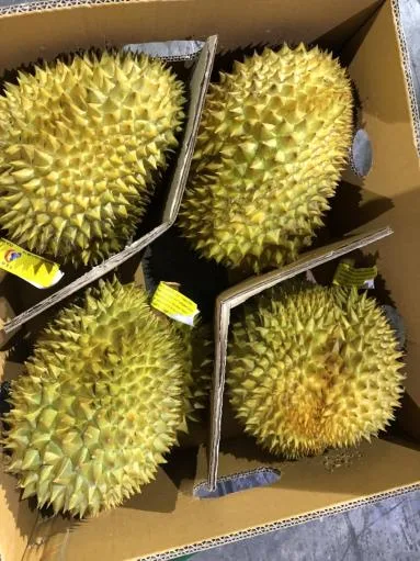 鮮榴槤 外包裝