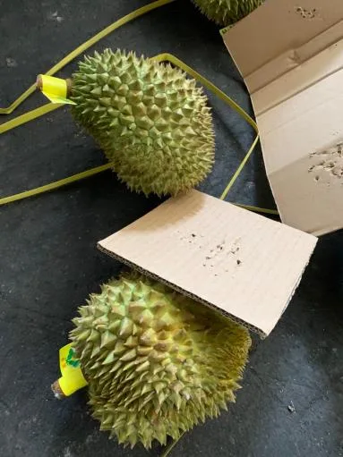 鮮榴槤 外包裝