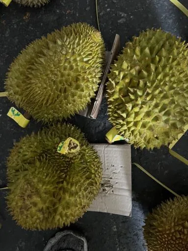 鮮榴槤 外包裝