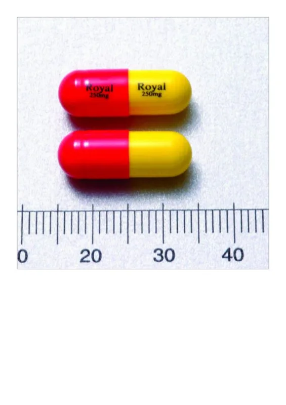 "皇佳"骨維康膠囊２５０毫克（硫酸固可沙明）外觀