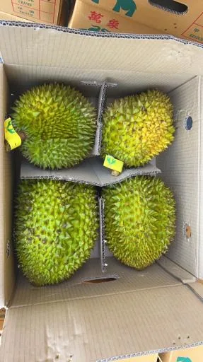 鮮榴槤 外包裝