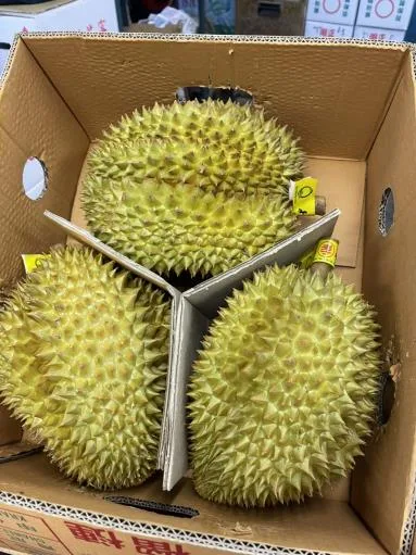 鮮榴槤 外包裝