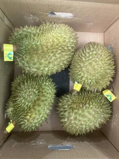 鮮榴槤 外包裝