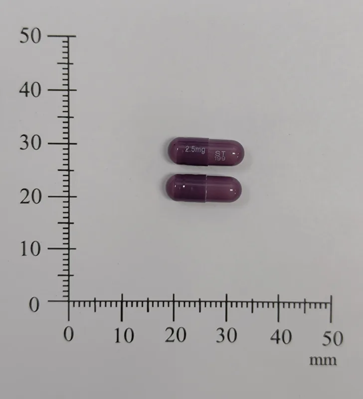 "信東"歐普酪膠囊2.5毫克外觀