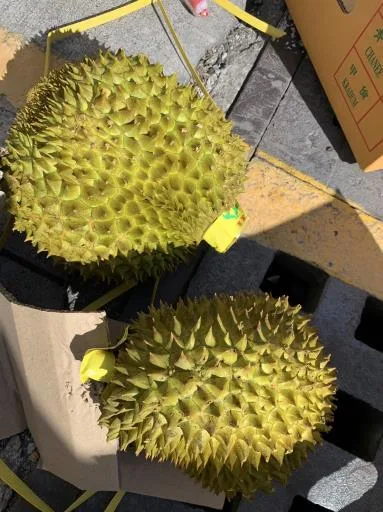 鮮榴槤 外包裝