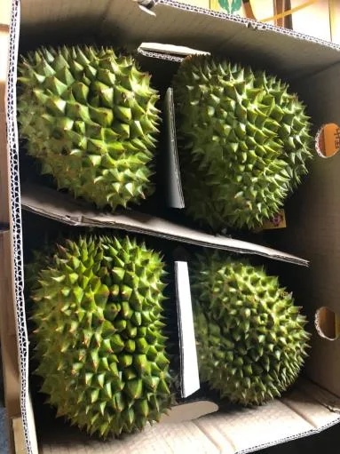 鮮榴槤 外包裝