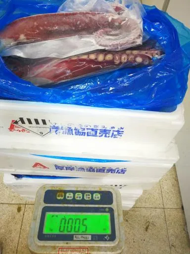 日本厚岸章魚足 外包裝