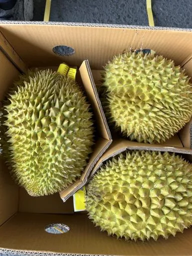鮮榴槤 外包裝