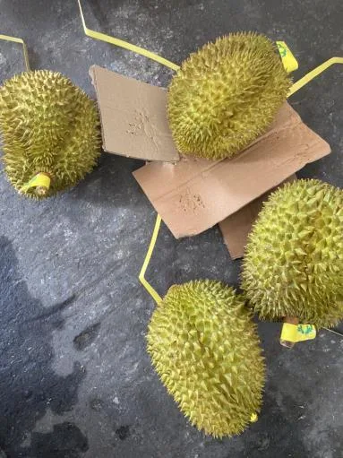 鮮榴槤 外包裝