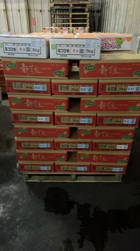 鮮梨 外包裝