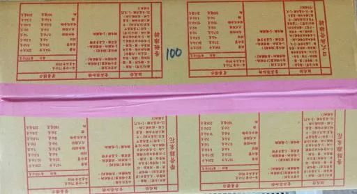 無骨雞排-100入 外包裝