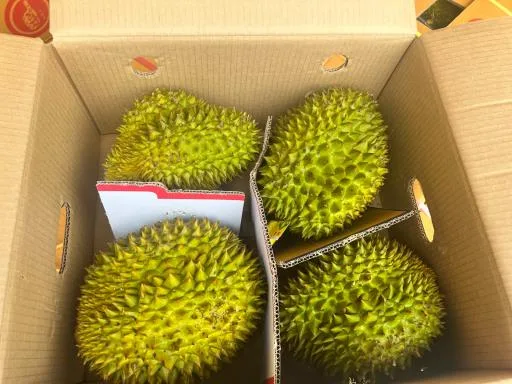 鮮榴槤 外包裝
