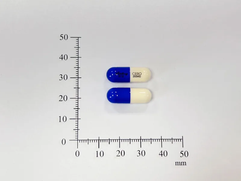 "信東" 賜福膠囊２５０毫克（西華克樂）外觀
