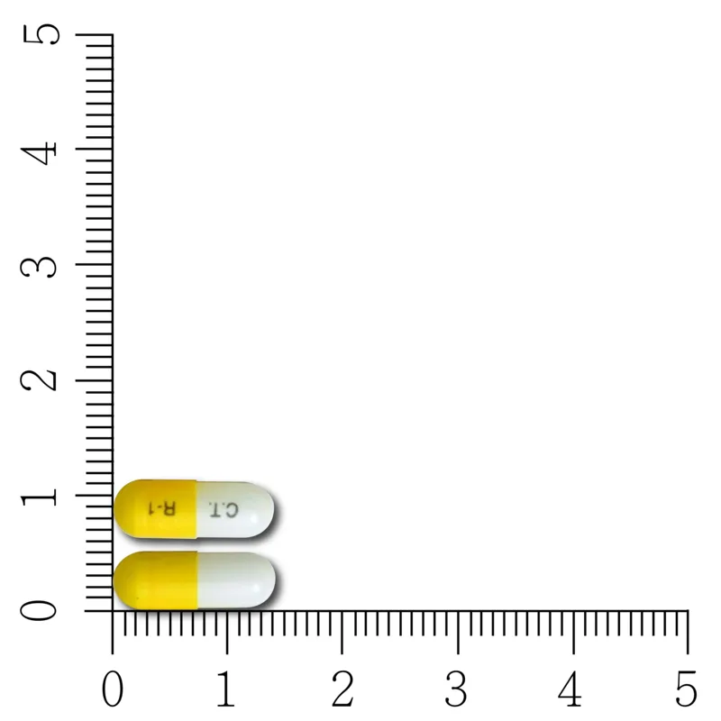 因得幸膠囊外觀