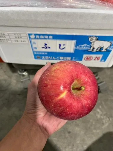 蘋果 外包裝