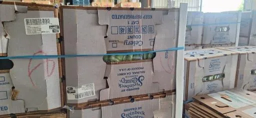 鮮芹菜 外包裝