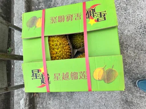 鮮榴槤 外包裝