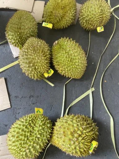 鮮榴槤 外包裝