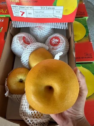 鮮梨 外包裝