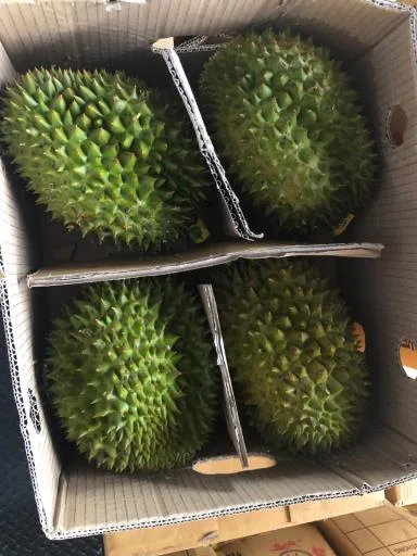 鮮榴槤 外包裝