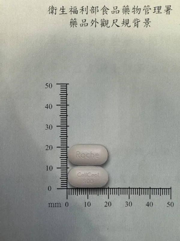 山喜多膜衣錠500毫克外觀