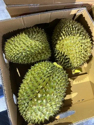 鮮榴槤 外包裝