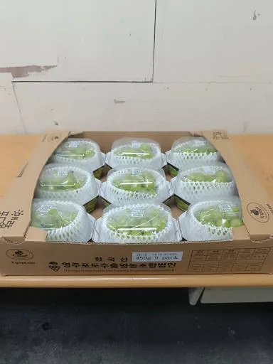 葡萄 外包裝