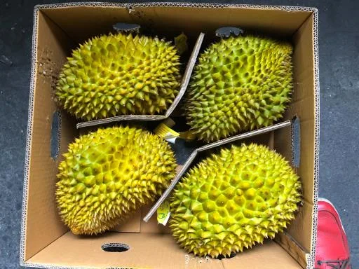 鮮榴槤 外包裝