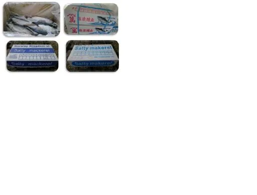 挪威鯖魚整尾6KG 外包裝