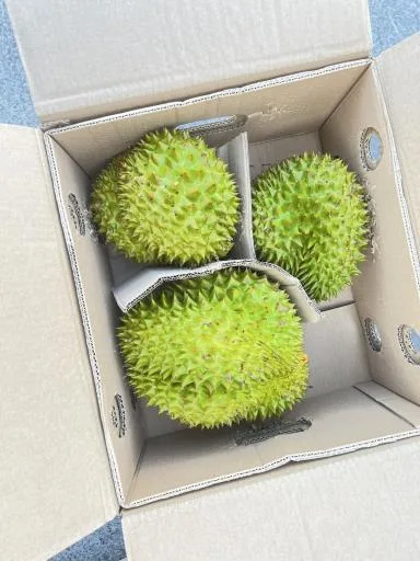 鮮榴槤 外包裝