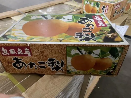 鮮梨 外包裝