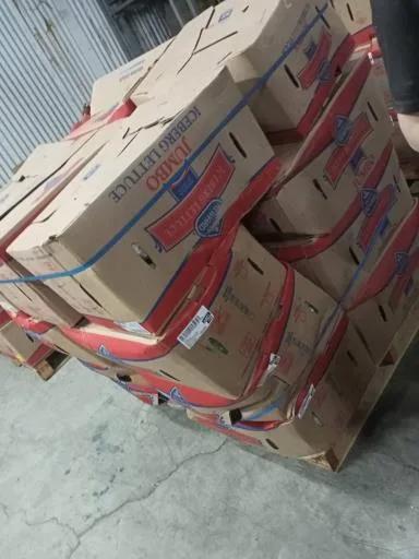 鮮結球萵苣 外包裝