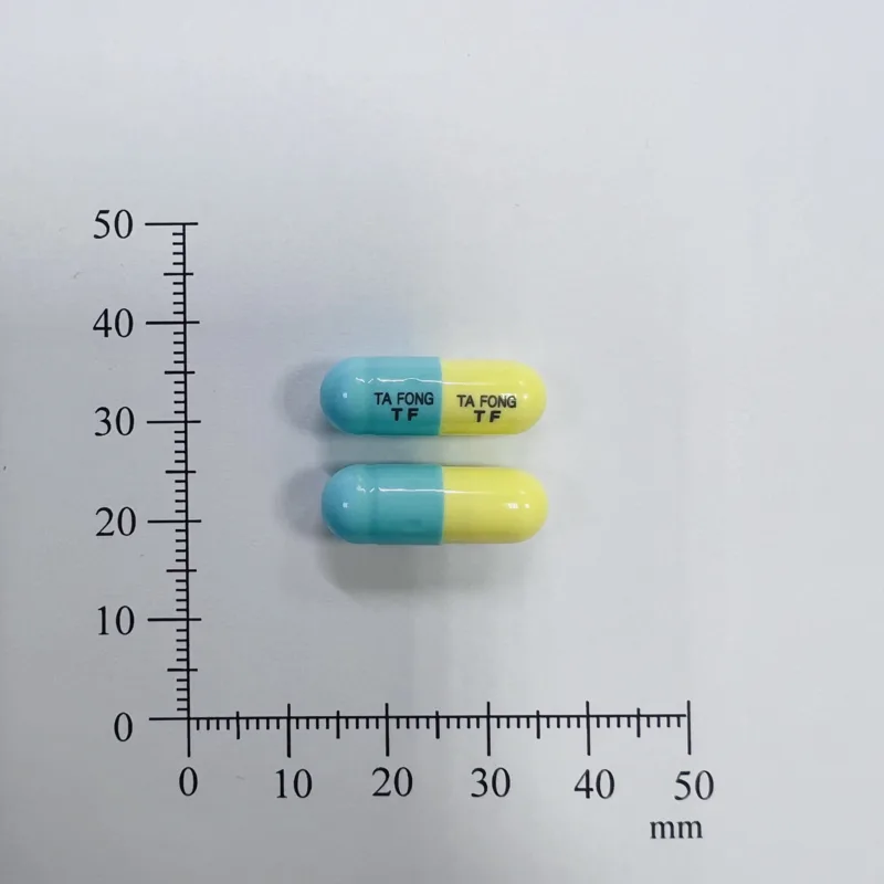 “大豐”痛炎好膠囊500毫克外觀