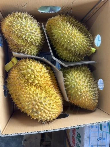 鮮榴槤 外包裝