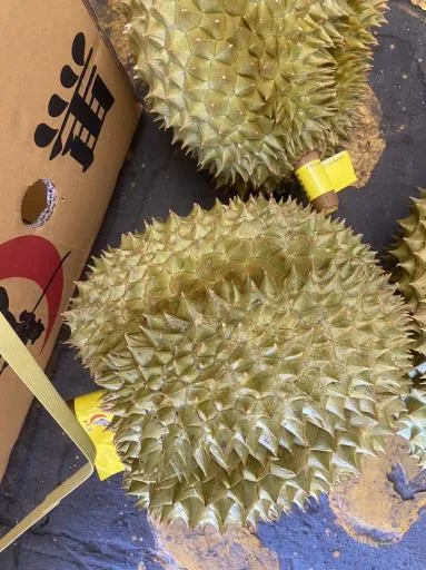 鮮榴槤 外包裝