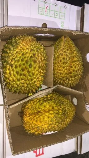 鮮榴槤 外包裝