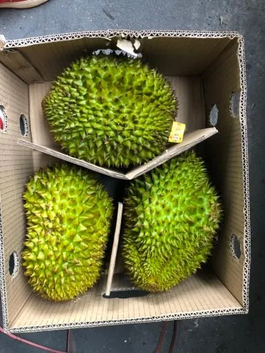 鮮榴槤 外包裝