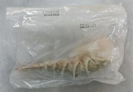 龍蝦 外包裝