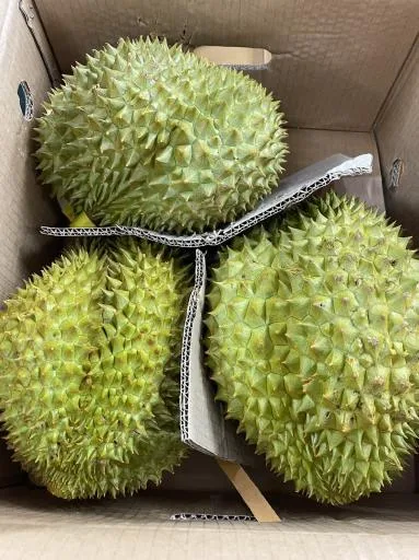 鮮榴槤 外包裝